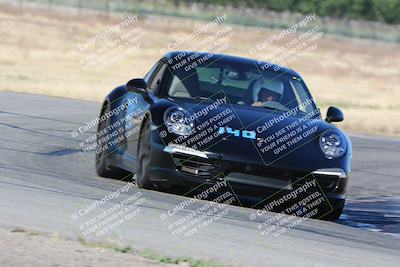 media/May-03-2024-PCA Central Coast (Fri) [[eaa7da0ee1]]/Yellow Group/Session 1 (Grapevine)/